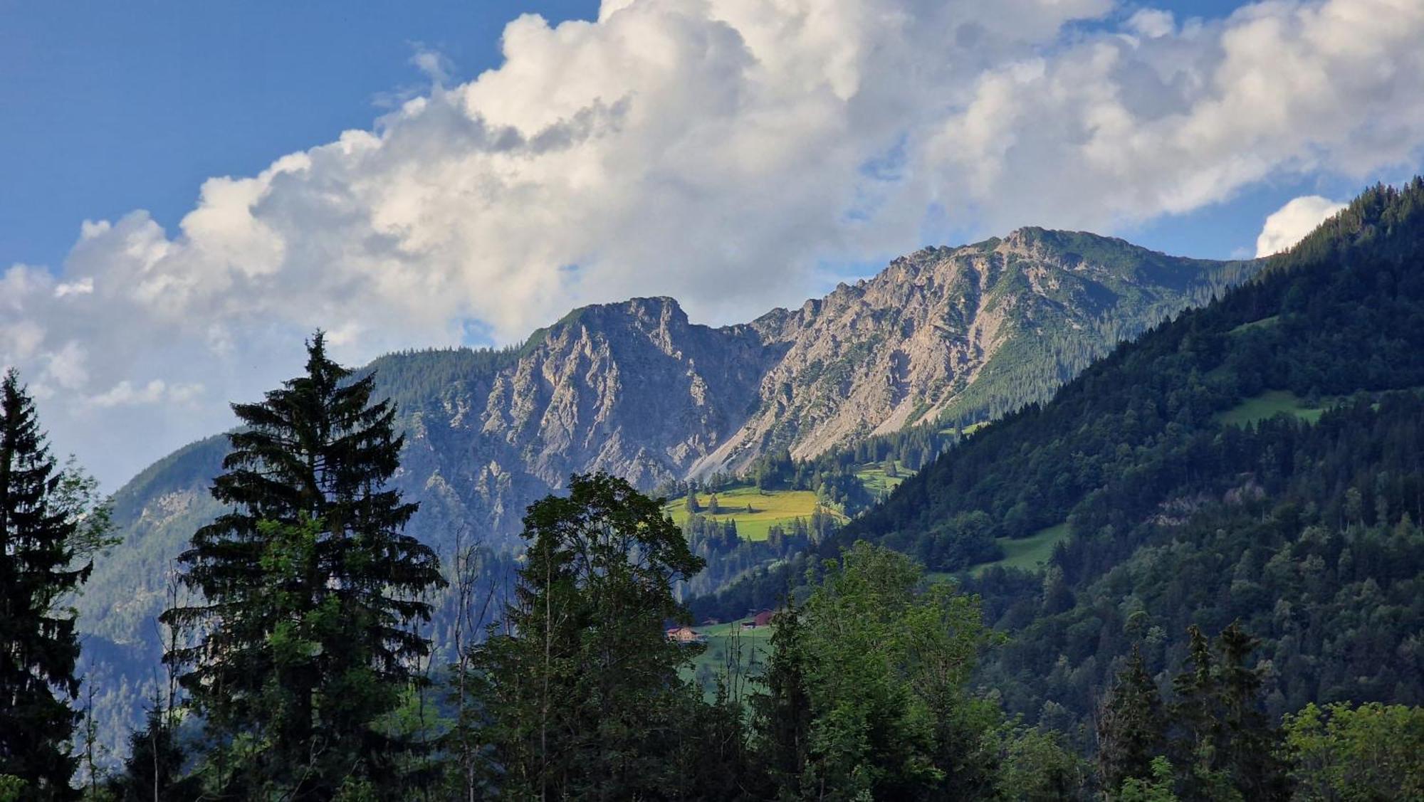 Homy Montavista - 300M Zur Golmerbahn Vandans Luaran gambar